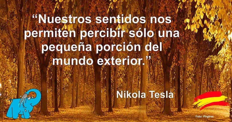 Nuestros sentidos nos permiten percibir sólo una pequeña porción del mundo exterior.